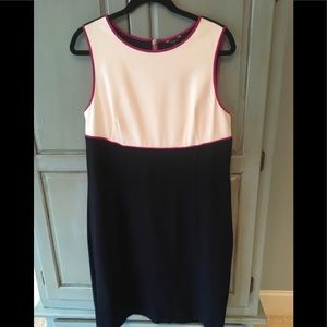 Ann Taylor Cream and Navy dress trim